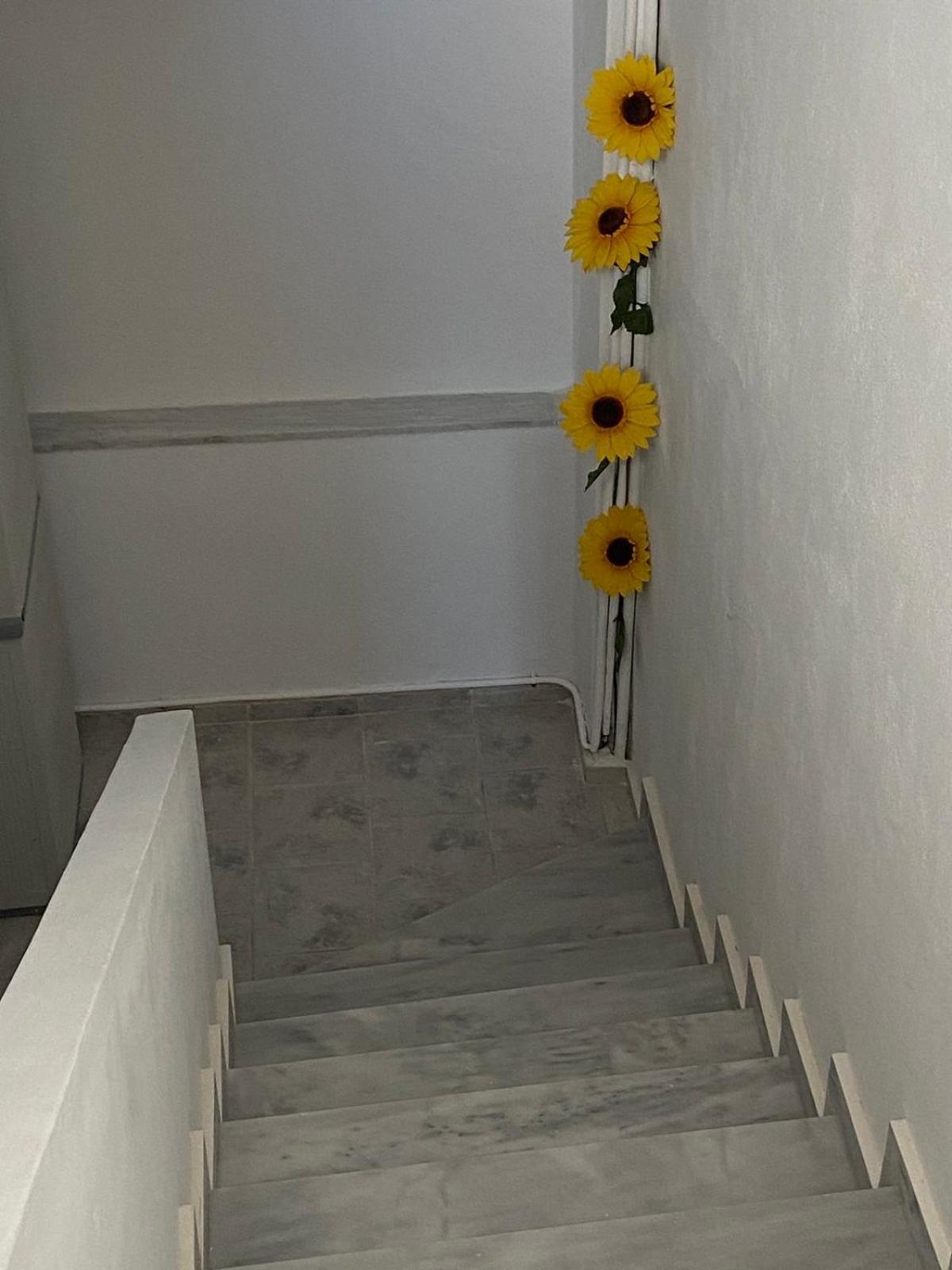 Apartament Two Palm Trees Adamantas  Zewnętrze zdjęcie